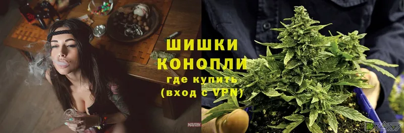 наркотики  Велиж  Марихуана THC 21% 